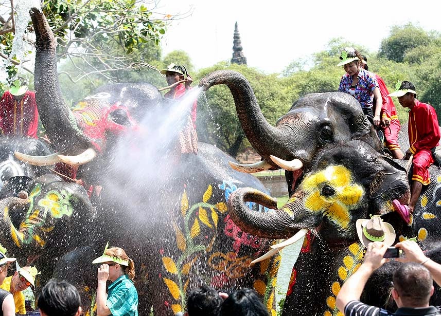 Таиланд слоны