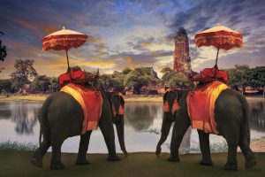 Thailand_Elefants